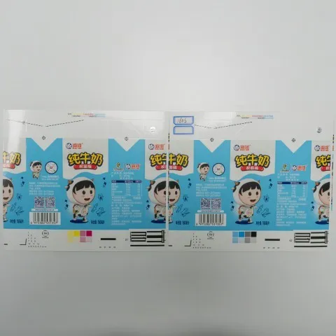 Aseptic Bag in Drum