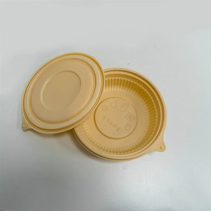 Biodegradable Takeaway Bowls - Designed for Single-Use Sustainability (6)