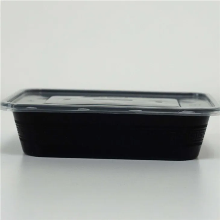 Durable Plastic Boxes - Built to Last for Everyday Use (3)
