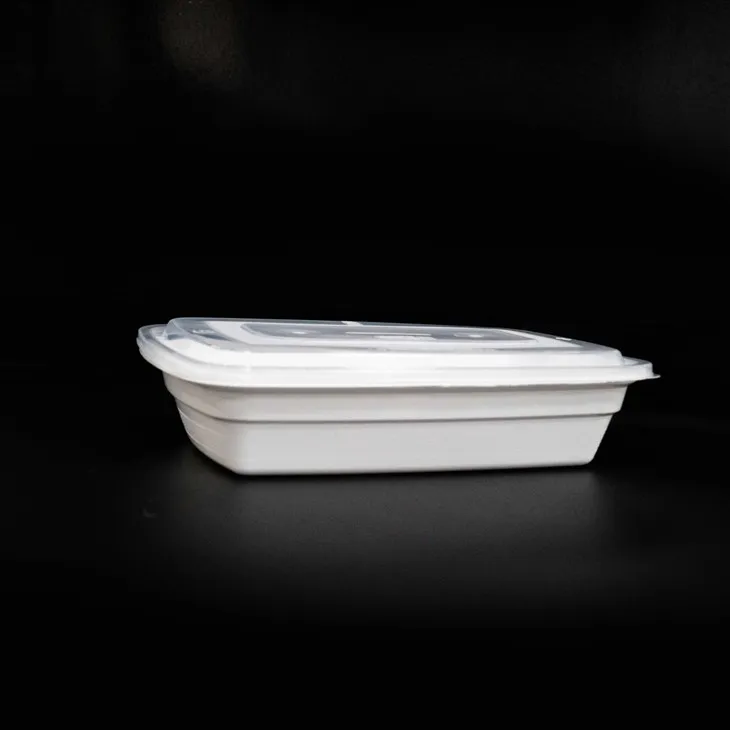 Eco-Friendly 750ml & 1000ml Disposable Lunch Boxes - Ideal for Takeout (5)