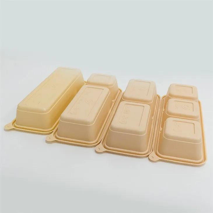 Green Biodegradable Lunch Boxes - For a Sustainable Future (1)