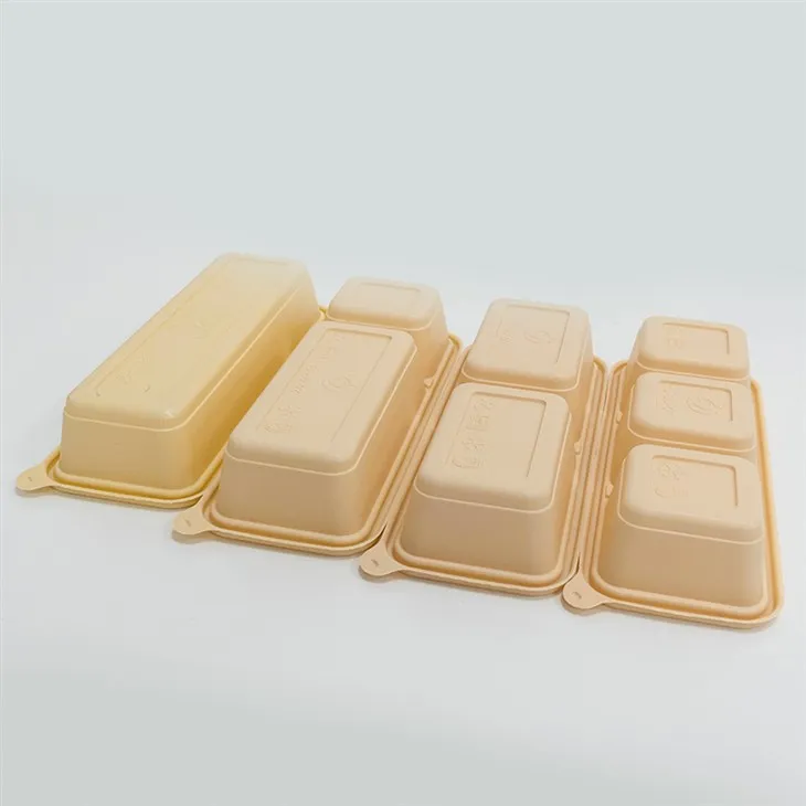Kotak makan tengah hari biodegradable hijau - untuk masa depan yang mampan