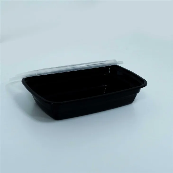 Lunch Boxes with Lids for Kids - Perfect for School and Daycare (4)