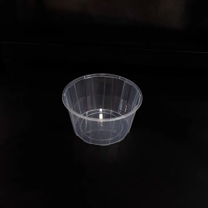 Plastic Bowls for Fast Food and Quick Service Restaurants (3)