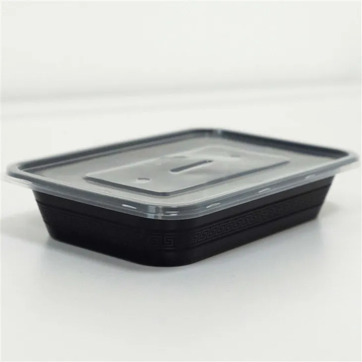 Plastic Food Boxes for Daily Use - Designed for Home and Office (5)